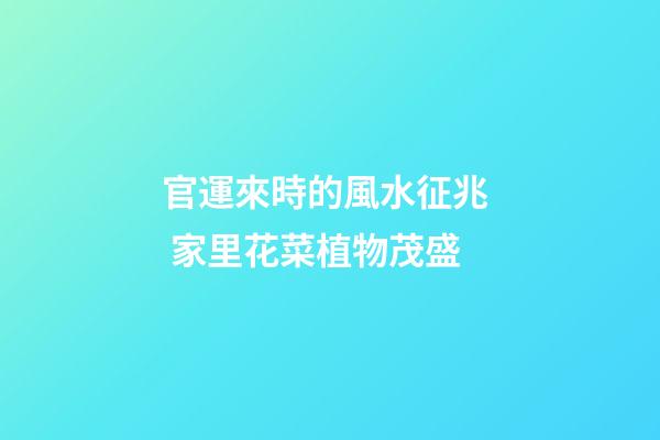 官運來時的風水征兆  家里花菜植物茂盛